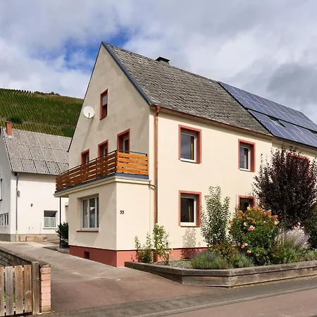 Syrah Am Weingut Regnery