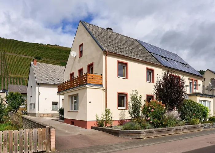 Syrah Am Weingut Regnery